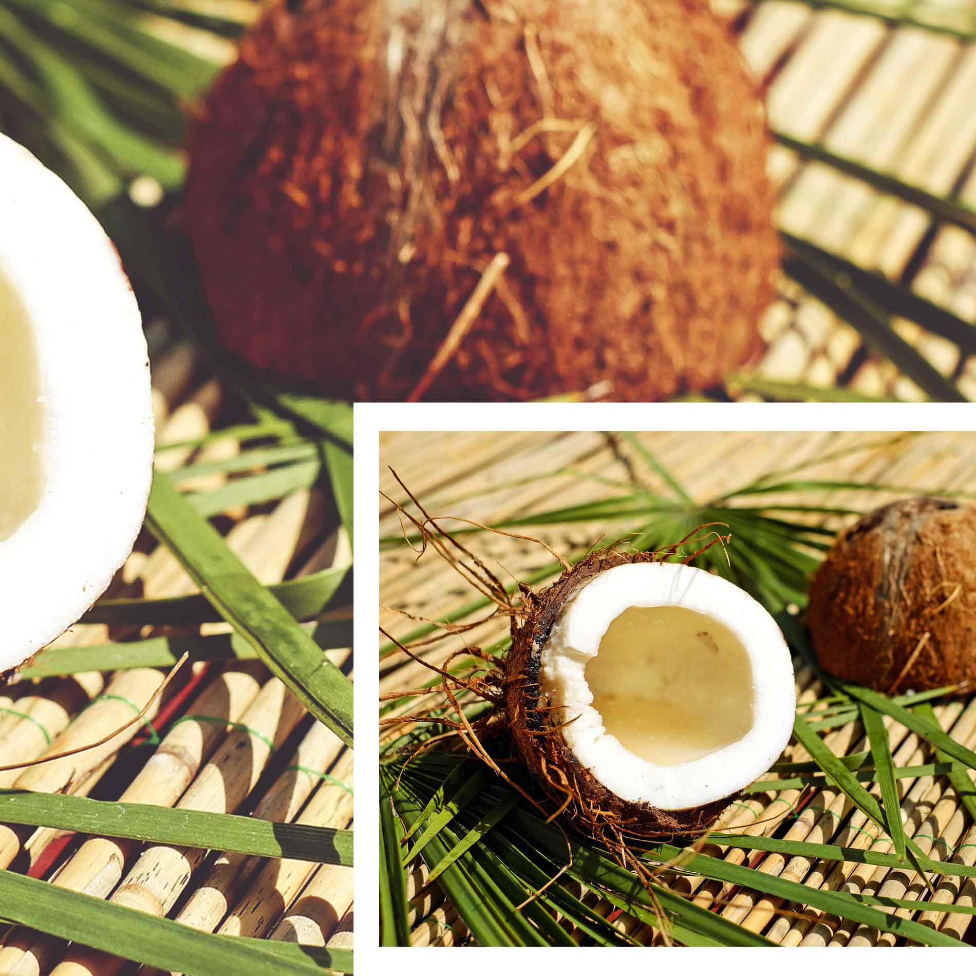 Wundermittel und Superfood Kokosöl: Anwendungsmöglichkeiten & Wirkung